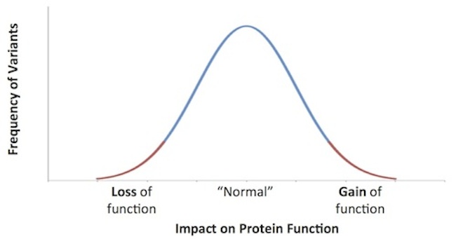 Distribution of Variants and Function